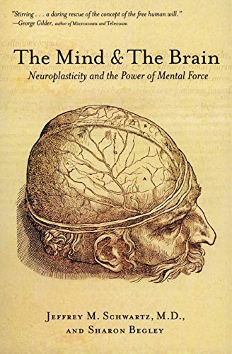 The Mind and the Brain Cover
