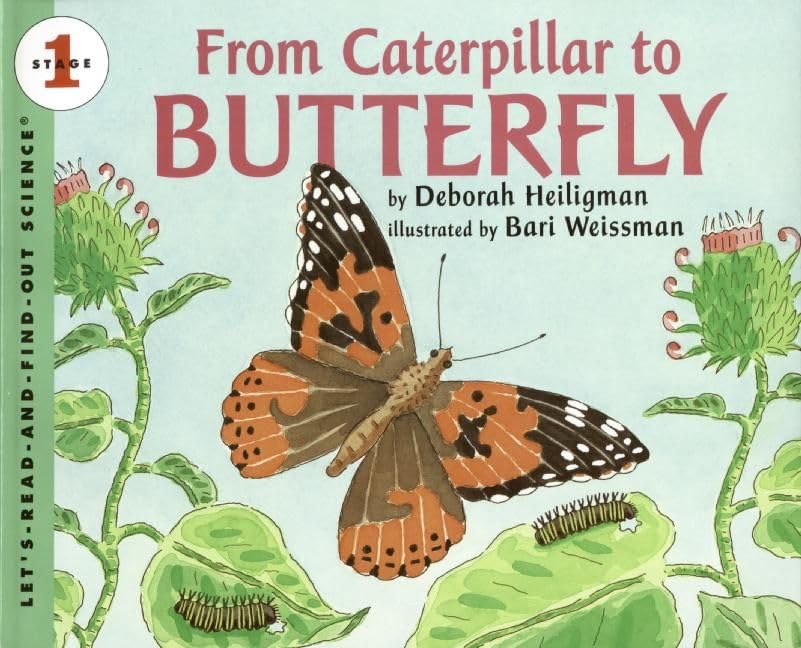 From Caterpillar to Butterfly Big Book Cover