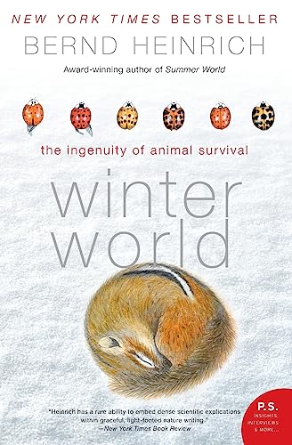 Winter World Cover