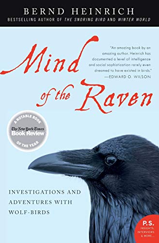 Mind of the Raven Cover