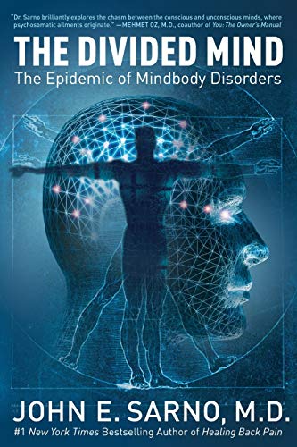 The Divided Mind Cover