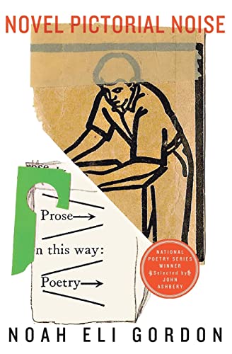 Novel Pictorial Noise Cover