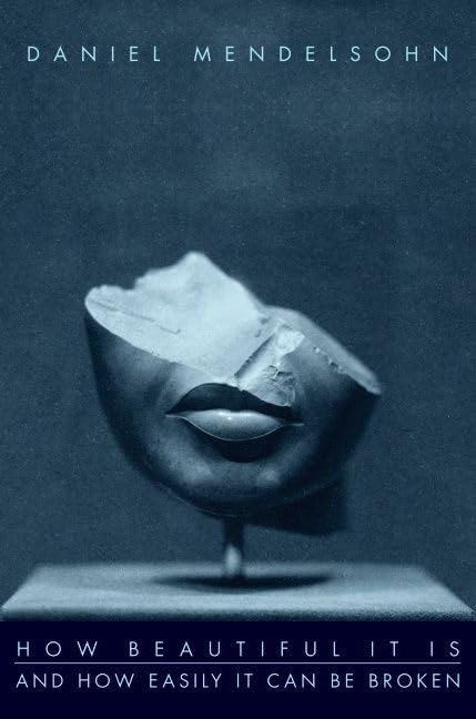 How Beautiful It Is and How Easily It Can Be Broken Cover