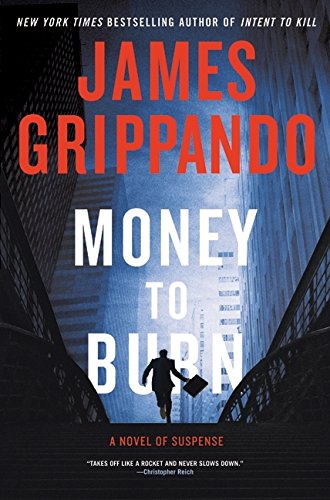 Money to Burn: A Novel of Suspense Cover