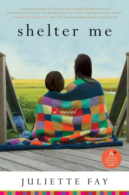 Shelter Me: A Novel About Grief, Fierce Motherhood, and Unexpected Love Cover