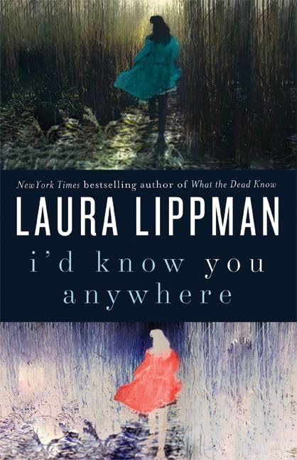 I'd Know You Anywhere: A Novel Cover