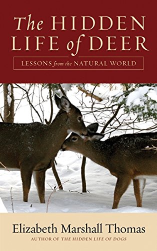 The hidden life of deer Cover