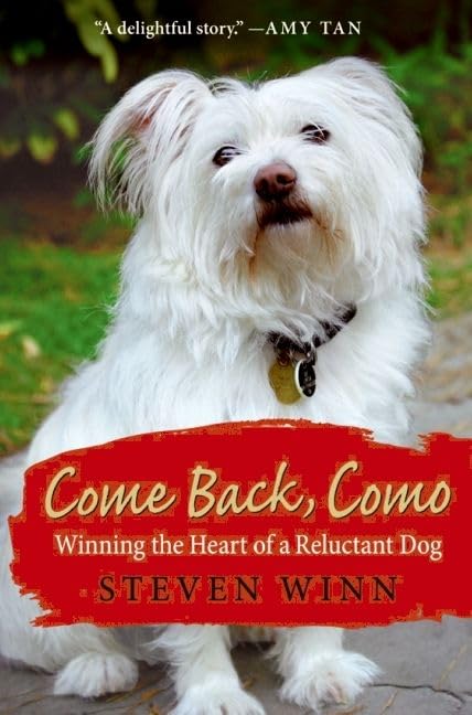 Come Back, Como Cover