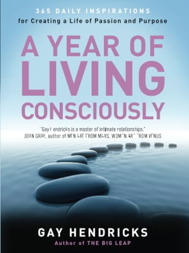 A year of living consciously Cover