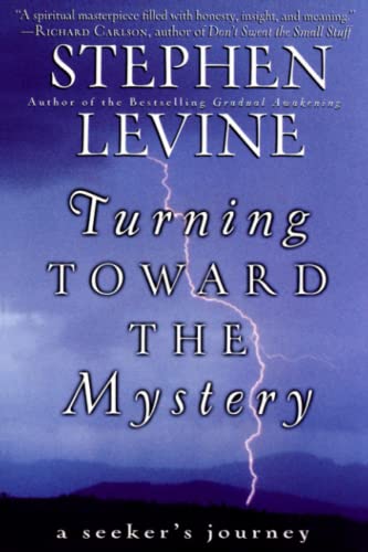 Turning toward the mystery Cover