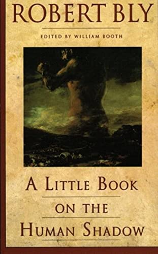 A little book on the human shadow Cover