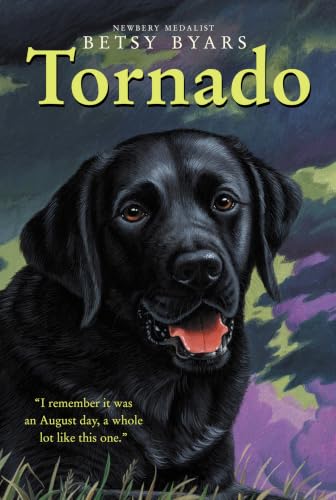 Tornado (Trophy Chapter Book) Cover