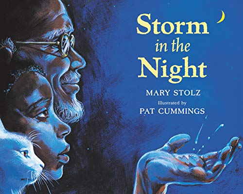 Storm in the night Cover