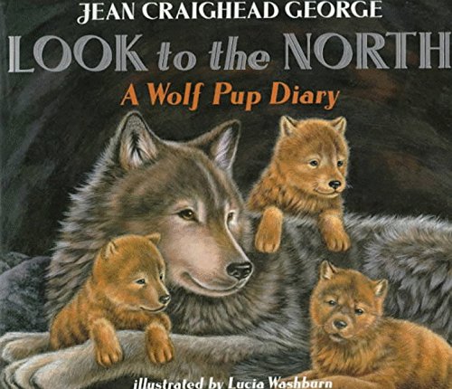 Look to the North Cover