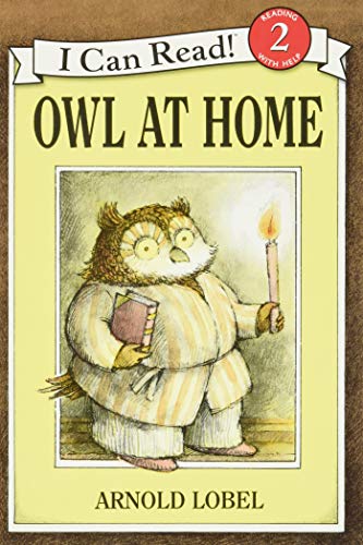 Owl at Home Poster