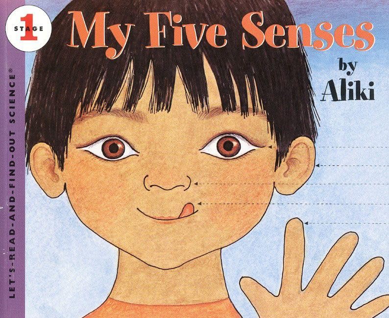 My five senses Cover