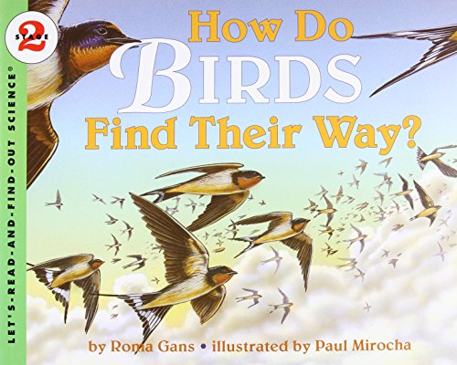 How do birds find their way? Cover