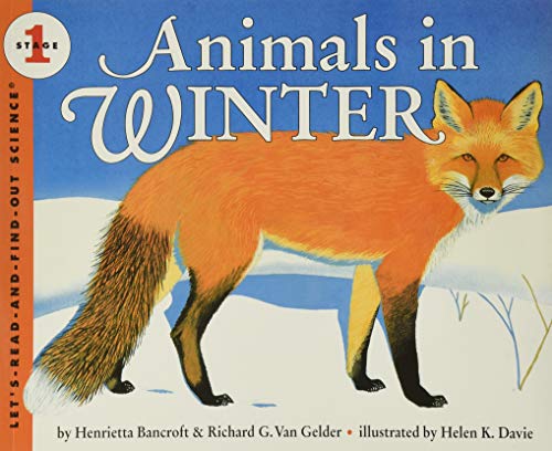 Animals in winter Cover