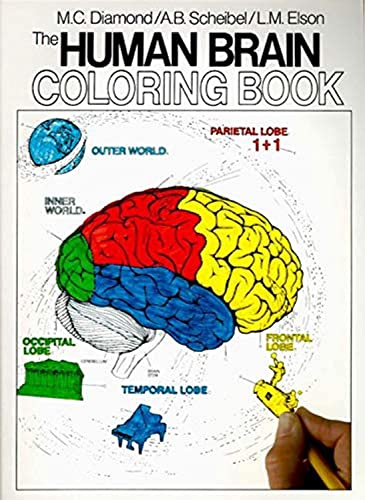 The human brain coloring book Cover