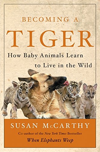 Becoming a tiger Cover