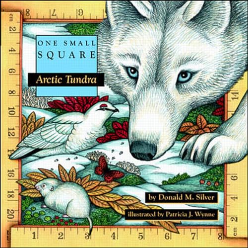 Arctic Tundra Cover