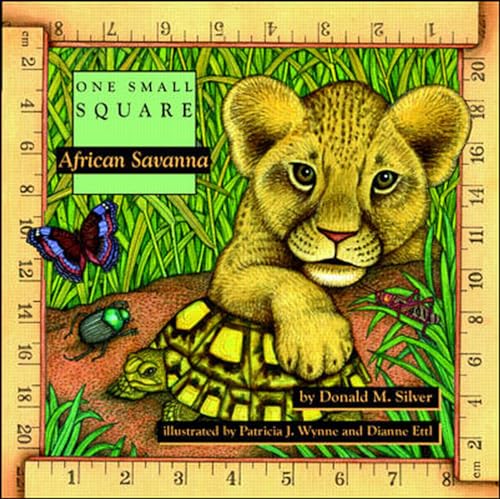 African savanna Cover