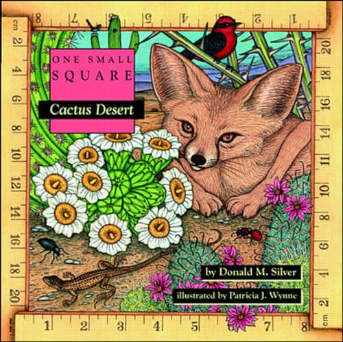 Cactus desert Cover