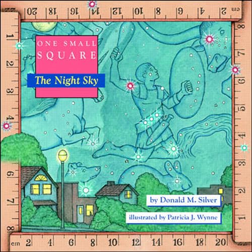 One Small Square, The Night Sky Cover