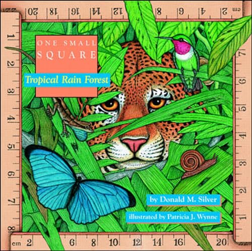 Tropical Rain Forest Cover