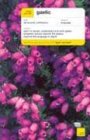 Teach Yourself Gaelic Complete Course Cover