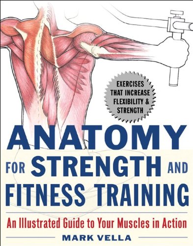 Anatomy for Strength and Fitness Training: An Illustrated Guide to Your Muscles in Action Poster