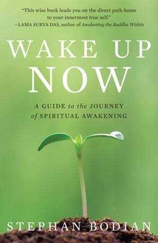 Wake up now Cover