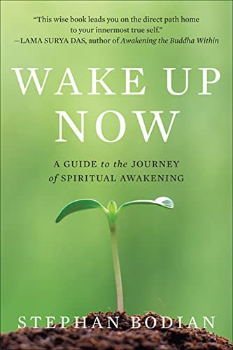 Wake Up Now Cover