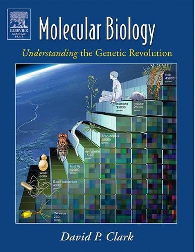 Molecular biology Cover