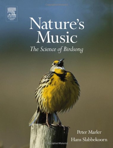 Nature's music Cover