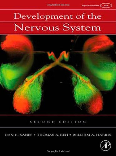 Development of the nervous system Cover