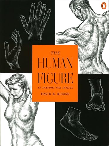 The human figure Cover