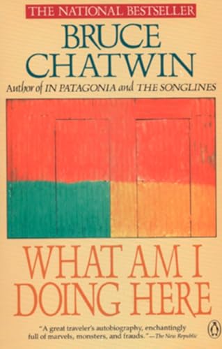 Whatam I doing here Cover