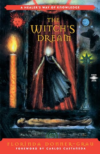 The Witch's Dream Cover