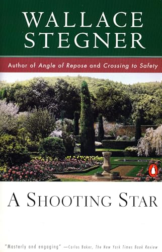 A shooting star Cover