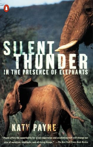 Silent thunder Cover