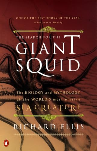 The search for the giant squid Cover