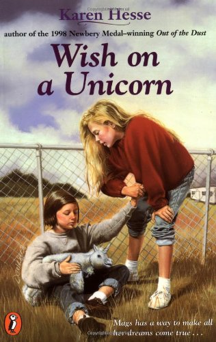 Wish on a unicorn Cover
