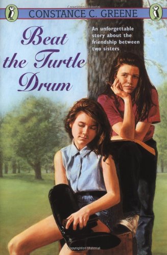 Beat the Turtle Drum Cover