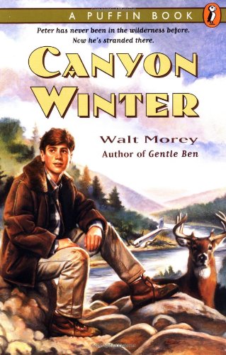 Canyon winter Cover