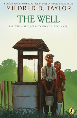 The well Cover