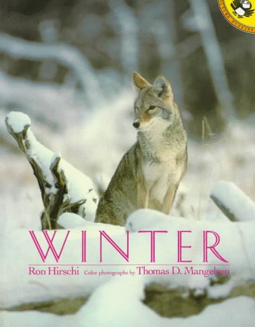 Winter (Picture Puffins) Cover