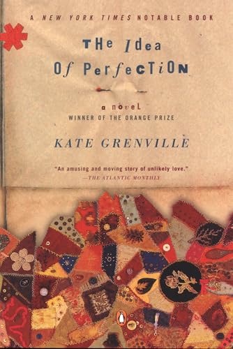 The Idea of Perfection Cover