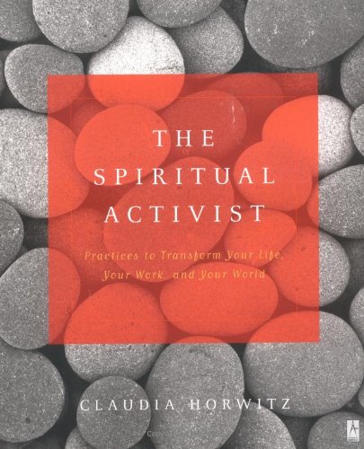 The spiritual activist Cover