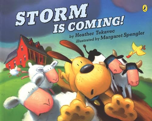 Storm is Coming! Cover